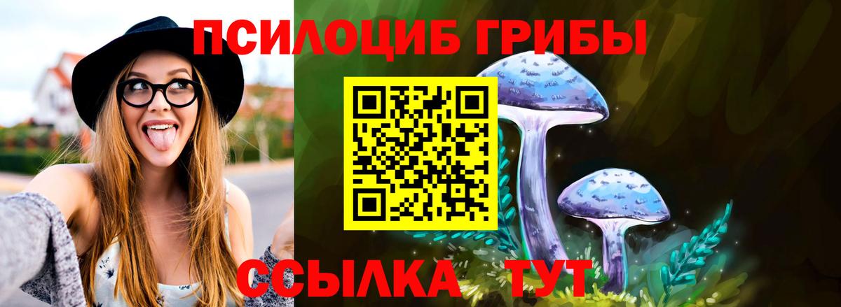 Борзя  Псилоцибиновые грибы Psilocybine cubensis  Вход с VPN 